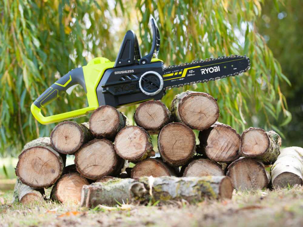 ryobi-rcs18x30-50f-elettrosega-a-batteria-18v-5ah-lama-da-30cm-elettrosega-a-batteria-brushless-ryobi-18v-barra-30cm-29280_0_1621519558_IMG_60a66cc6e2010 - Novapoli