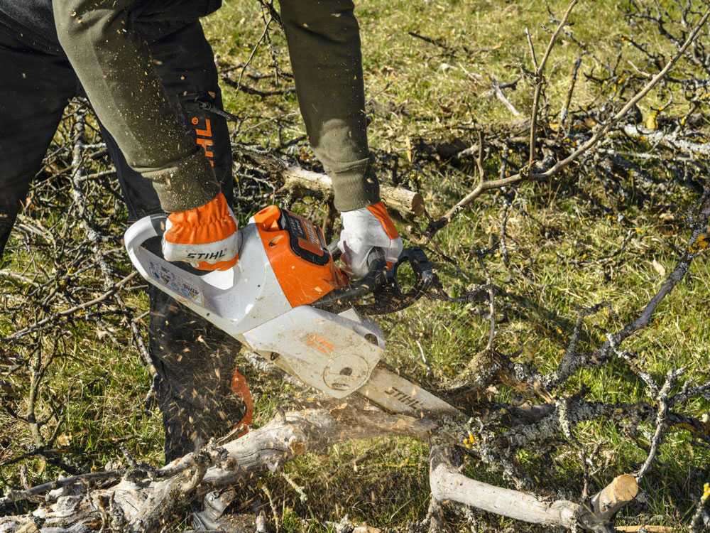stihl-msa-70-c-b-elettrosega-a-batteria-da-taglio-barra-carving-da-30-cm-36v-senza-batteria-e-caricabatteria-elettrosega-a-batteria-stihl-msa-70-c-b-57375_7_1738141385_IMG_6799eec9c3f5b - Novapoli