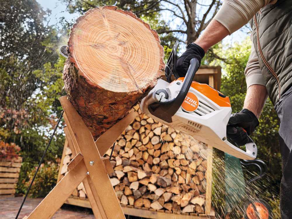 stihl-msa-80-c-b-set-elettrosega-da-taglio-con-batteria-ak-30-s-36v-5ah-barra-carving-da-30-cm-elettrosega-a-batteria-stihl-msa-80-c-b-57544_7_1738571148_IMG_67a07d8cb7fee - Novapoli