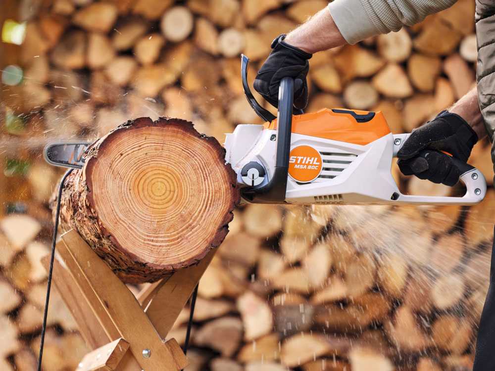 stihl-msa-80-c-b-set-elettrosega-da-taglio-con-batteria-ak-30-s-36v-5ah-barra-carving-da-30-cm-elettrosega-a-batteria-stihl-msa-80-c-b-57544_7_1738571148_IMG_67a07d8cbd36e - Novapoli