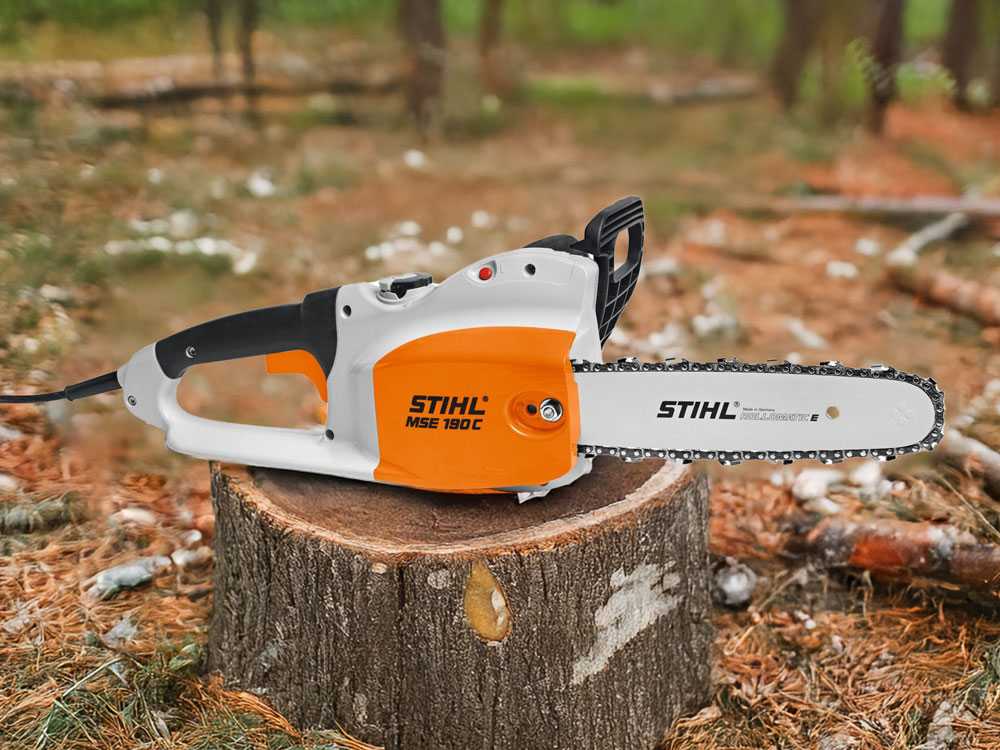 stihl-mse-190-elettrosega-da-taglio-lama-da-35-cm-stihl-mse-190-elettrosega-57606_0_1738653852_IMG_67a1c09c5224d - Novapoli