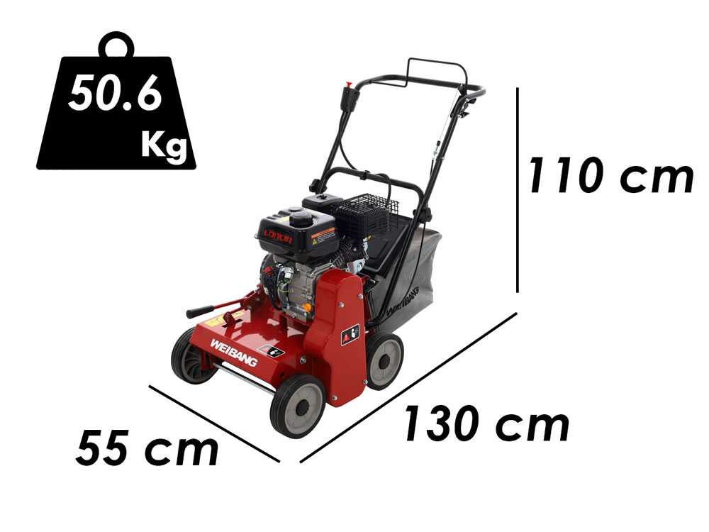 weibang-wb384rc-arieggiatore-professionale-a-lame-mobili-motore-loncin-g200f-arieggiatore-weibang-wb384rc-36886_1_1663325026_IMG_632453622e79d - Novapoli