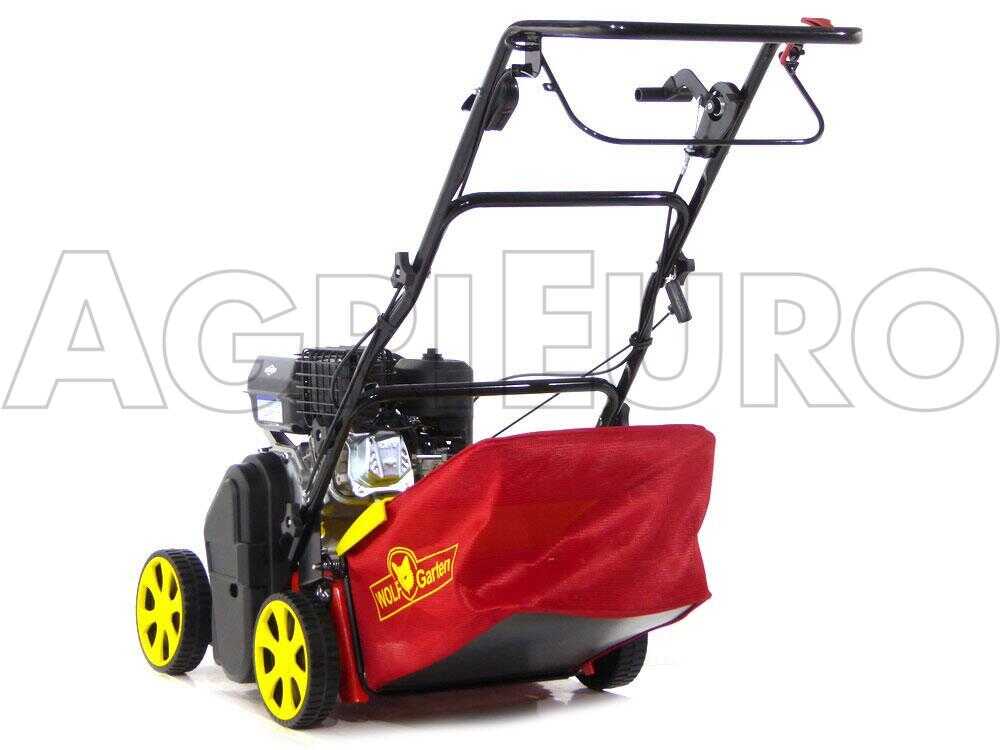 wolf-garten-va-389-b-arieggiatore-a-lame-fisse-motore-b-s-750-arieggiatore-wolf-garten-va-389-b-8350_0_1457429780_500027_ariegg_WG_389_B_00002 - Novapoli